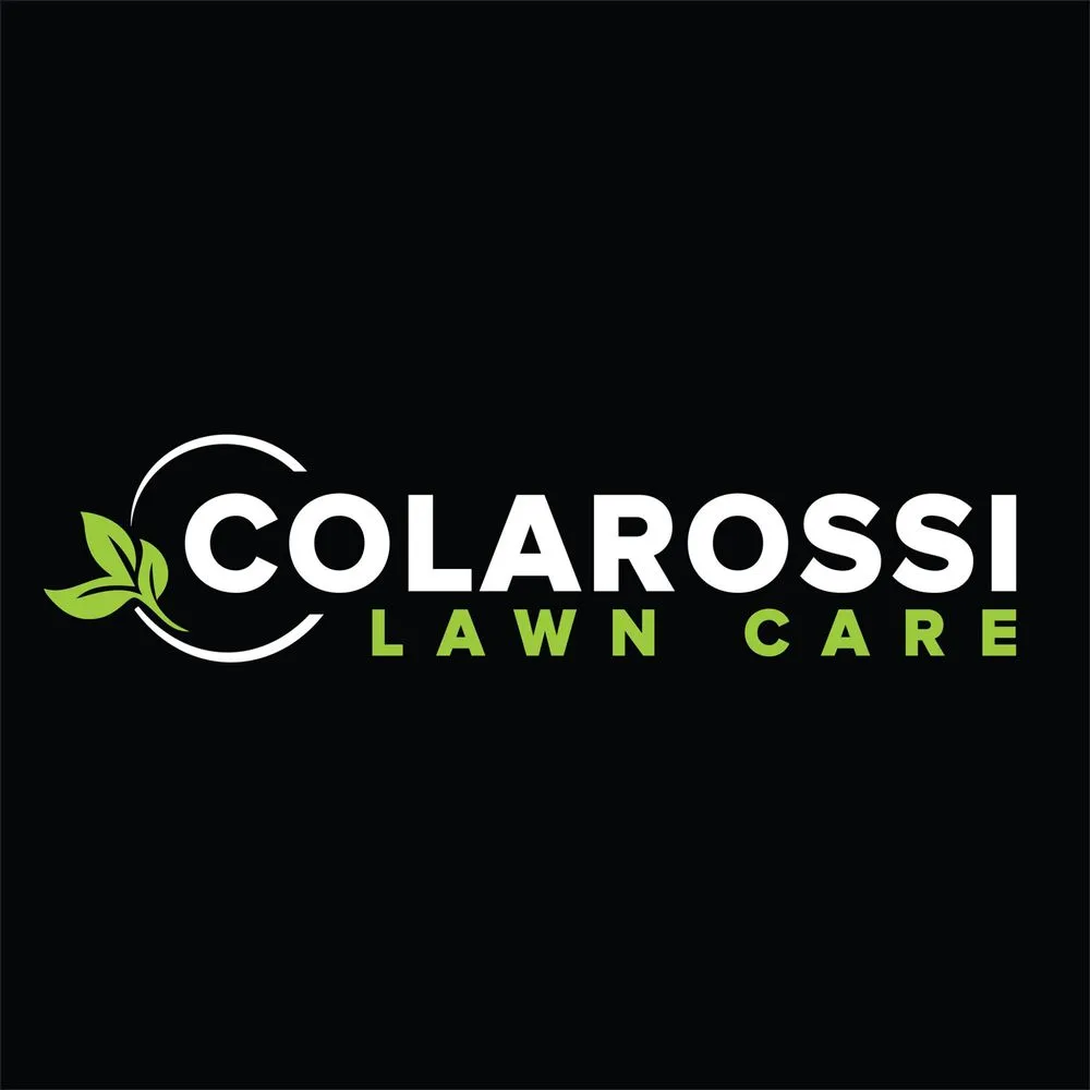 Affordable landscape design in Ann Arbor, MI by Colarossi Lawn Care