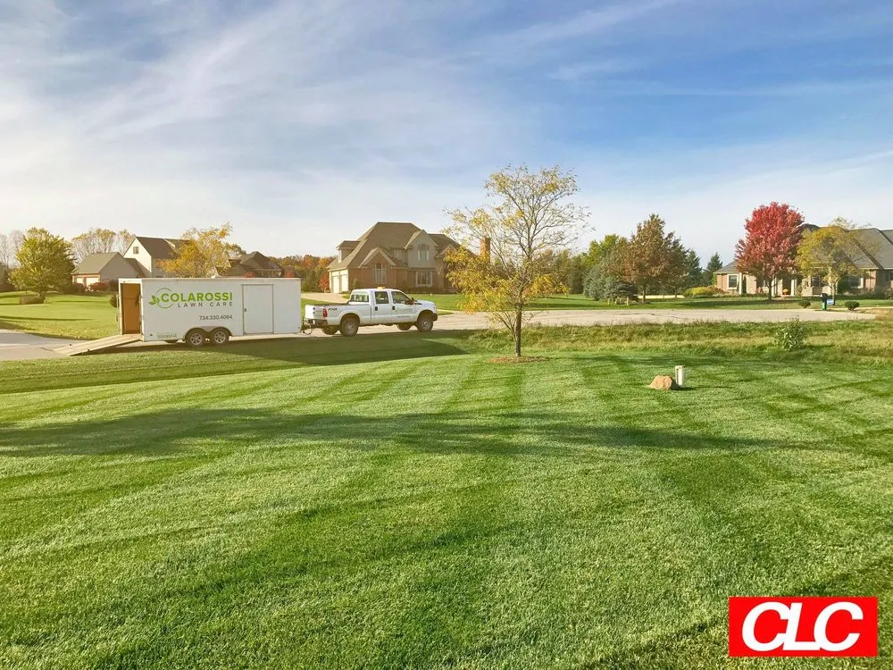 Local outdoor landscaping in Ann Arbor, MI - Colarossi Lawn Care