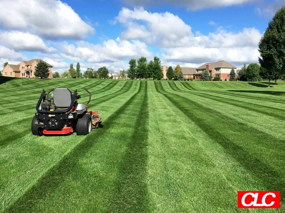 Expert landscaping services in Ann Arbor, MI - Colarossi Lawn Care