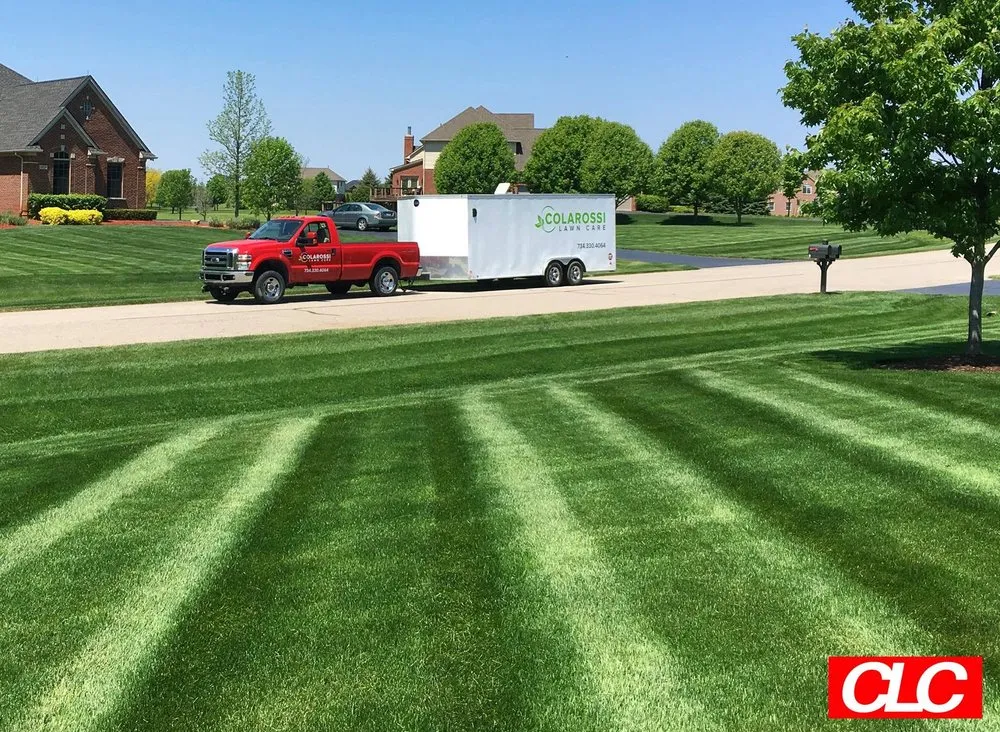 Expert landscape installation with custom design across Ann Arbor, MI - Colarossi Lawn Care