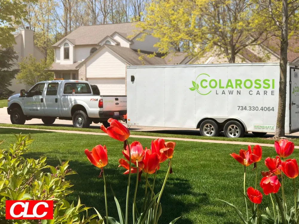 Expert landscape installation experts serving Ann Arbor, MI - Colarossi Lawn Care