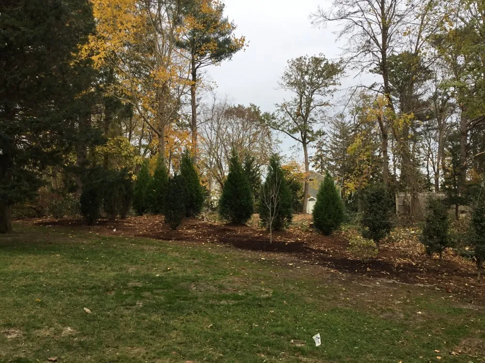 Reliable yard cleanup service with custom design across Plymouth, MA - Colburn Tree Care