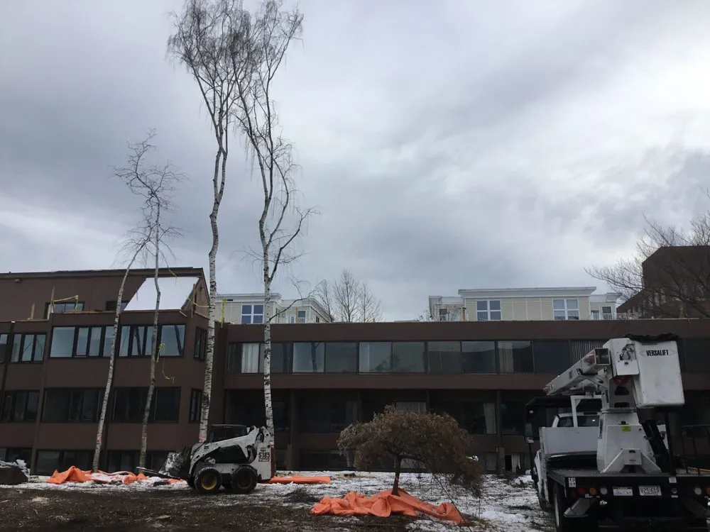 Expert landscape design in Plymouth, MA - Colburn Tree Care