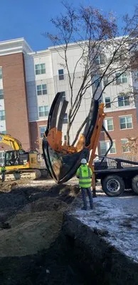 Colburn Tree Care Logo