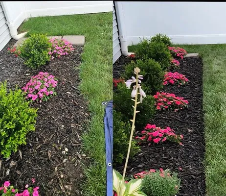 Colby & Sons Landscape Logo