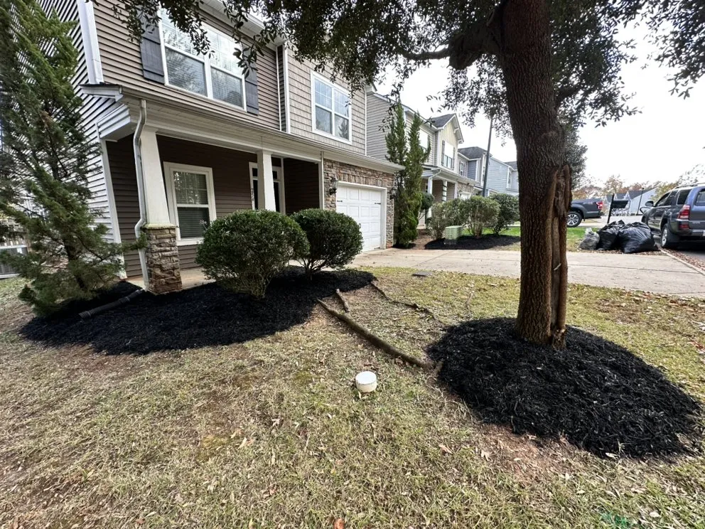 Trusted yard cleanup service in Columbia, SC by Colby Parton