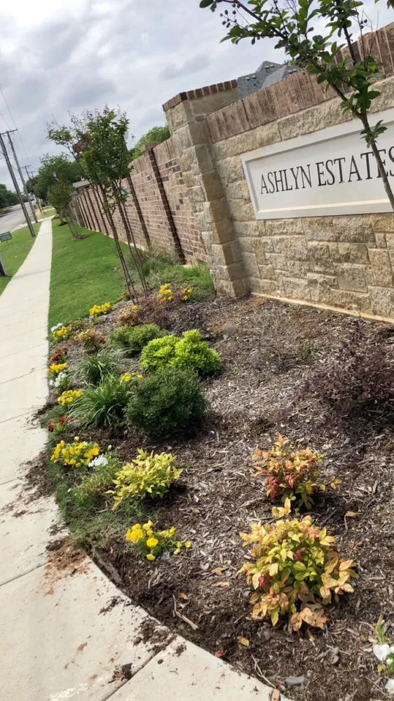 Expert yard cleanup service for residential properties in Columbia, SC by Colby Parton