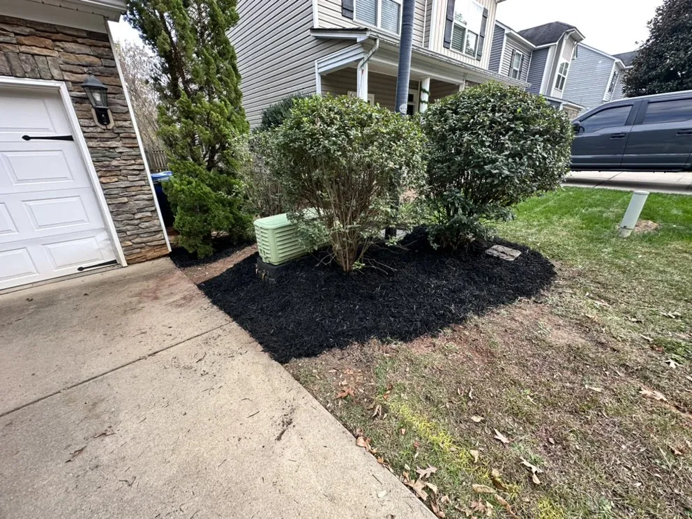 Trusted yard cleanup service in Columbia, SC by Colby Parton