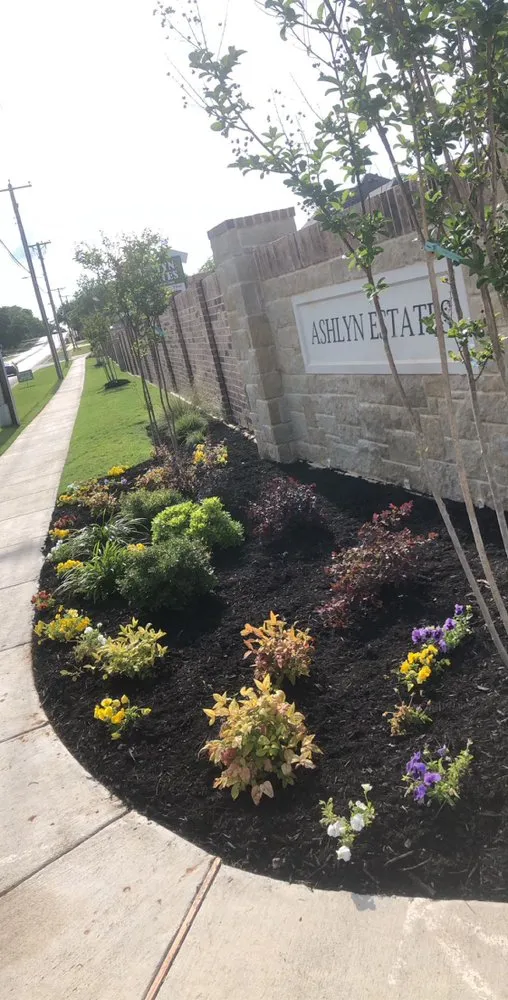 Affordable landscaping services in Columbia, SC - Colby Parton