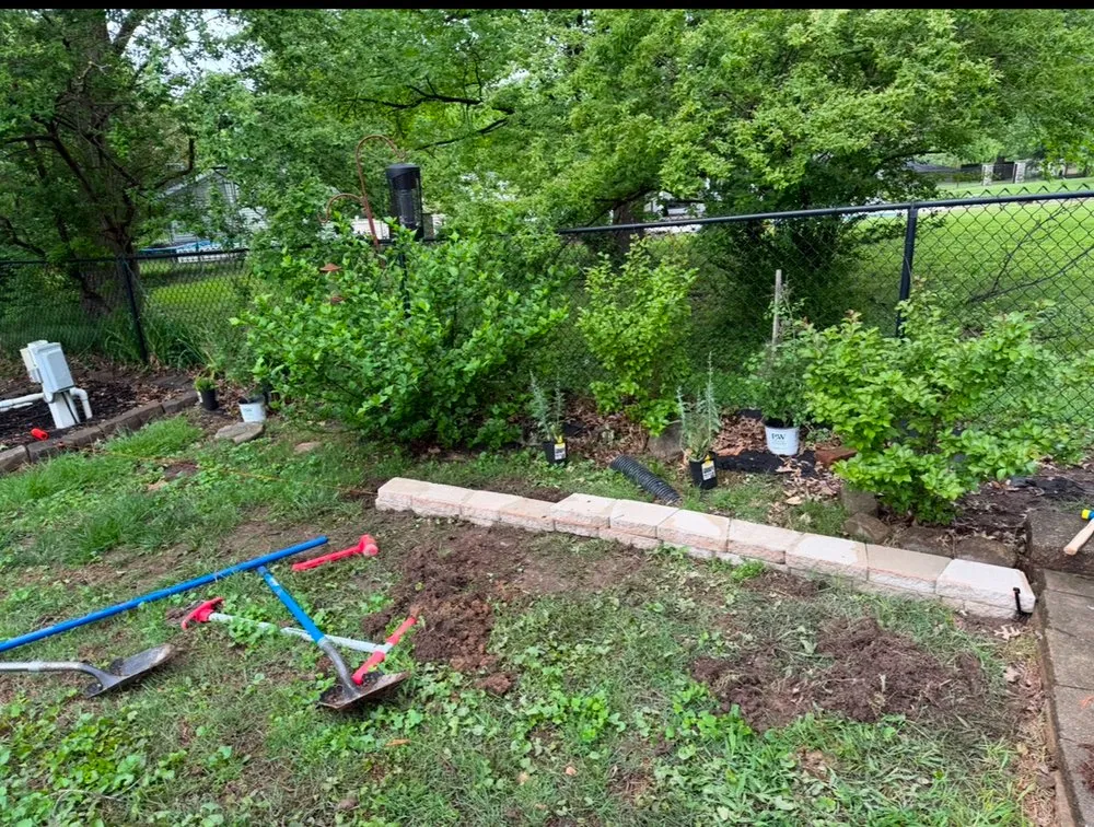 Reliable lawn care service in Chaffee, MO - Colby Stratton Enterprises