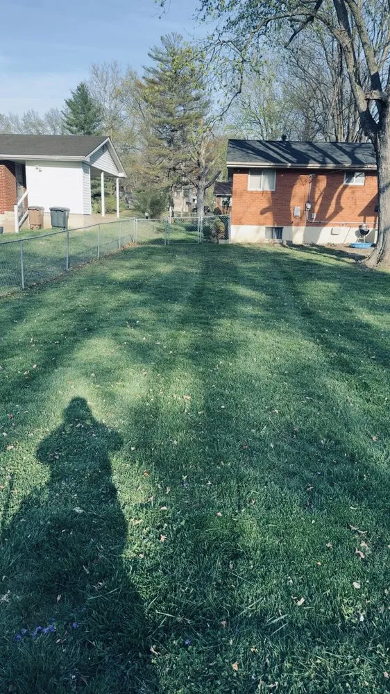 Professional yard cleanup service in Chaffee, MO by Colby Stratton Enterprises