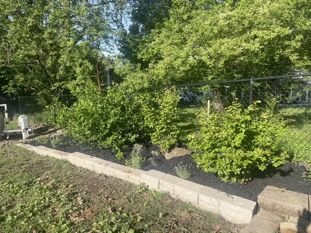 Professional outdoor landscaping in Chaffee, MO by Colby Stratton Enterprises