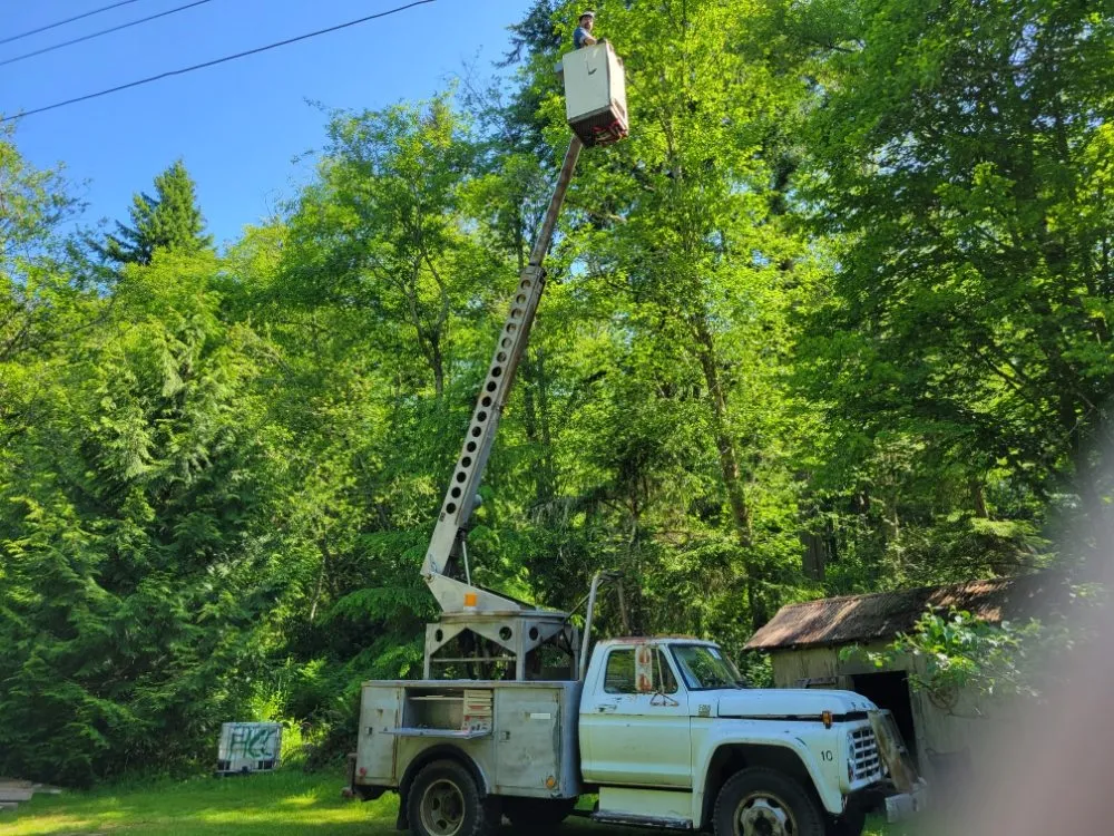 Reliable yard maintenance for year-round maintenance in Clinton, WA by Colby's Handyman Services