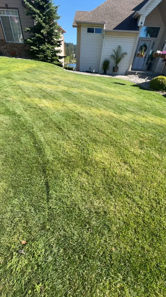 Trusted yard maintenance in Spokane, WA - Colby’s Lawn Mowing and Care