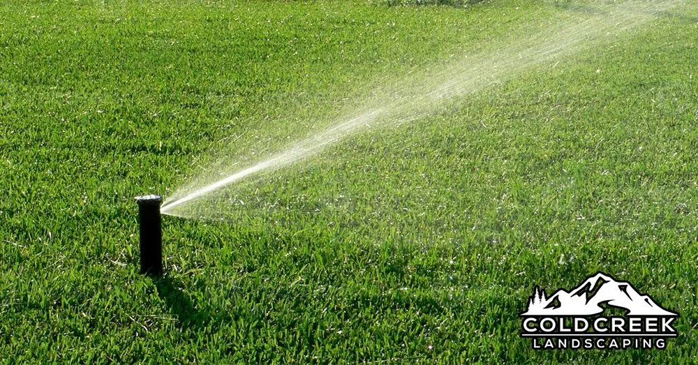 Professional yard maintenance for outdoor upgrades across Hickory, NC - Cold Creek Landscaping