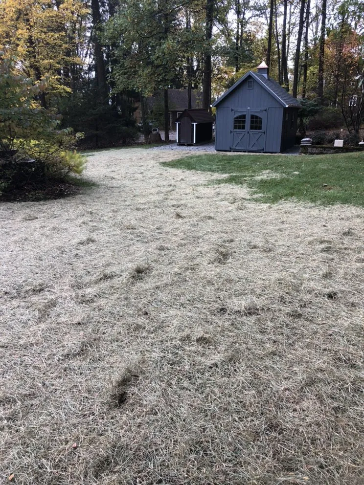 Trusted residential landscaping experts serving Glen Gardner, NJ - Cold Spring Lawn & Landscape