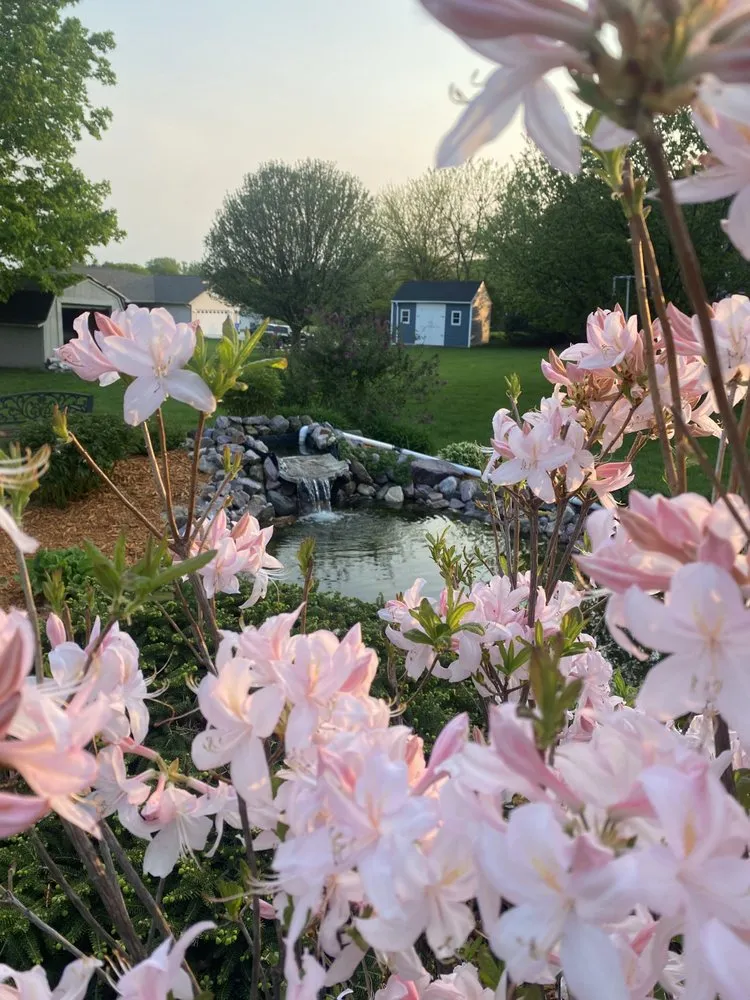 Top-rated yard maintenance experts serving Baraboo, WI - Cold Springs Landscape