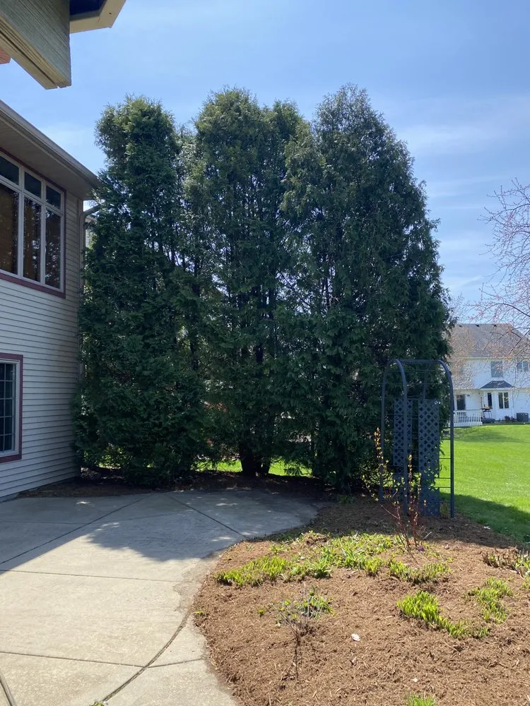 Professional landscaping services in Baraboo, WI by Cold Springs Landscape