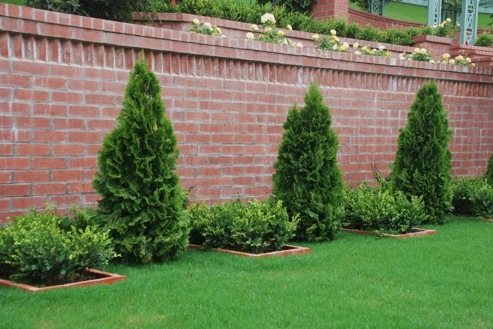 Custom landscape installation in Santa Barbara, CA by Cold Springs Landscapes