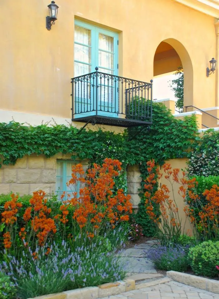 Reliable landscaping services near you in Santa Barbara, CA by Cold Springs Landscapes