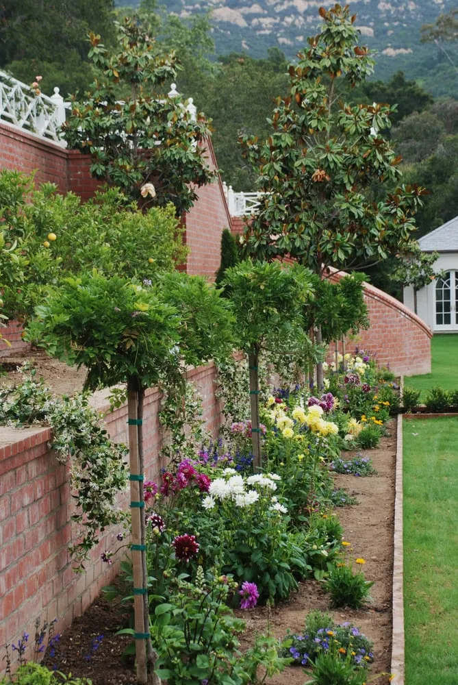 Top-rated landscape installation for residential properties across Santa Barbara, CA - Cold Springs Landscapes