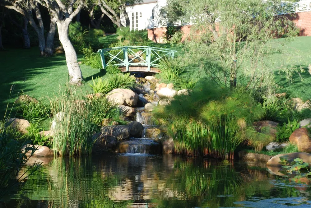 Professional outdoor landscaping for year-round maintenance in Santa Barbara, CA by Cold Springs Landscapes