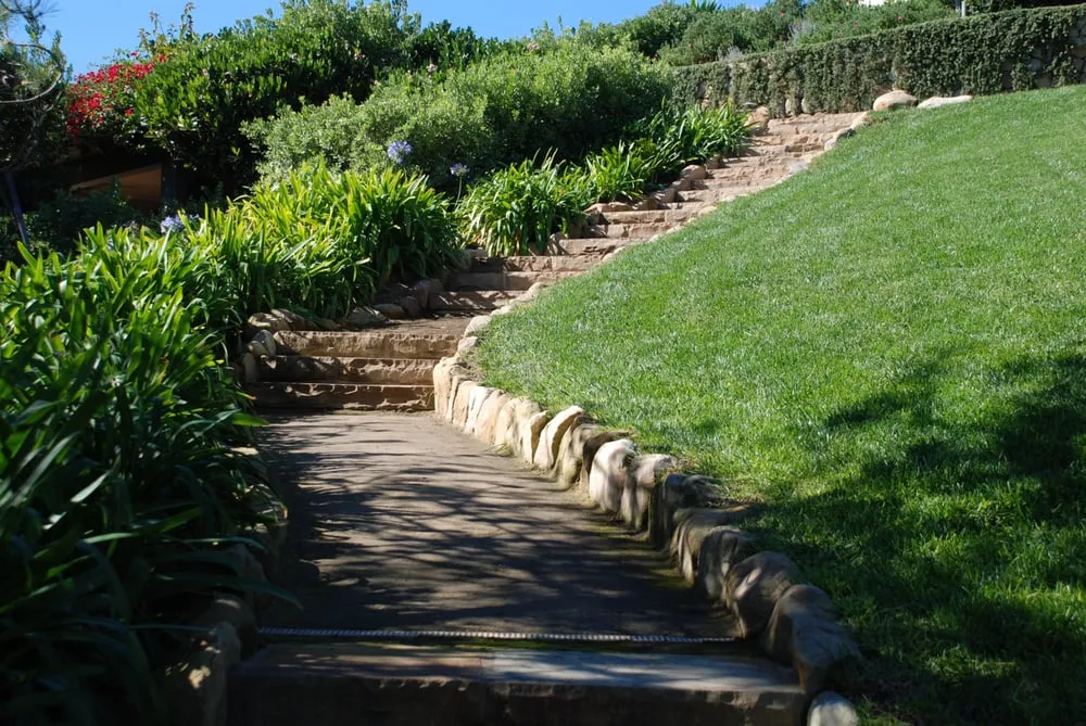 Reliable outdoor landscaping in Santa Barbara, CA - Cold Springs Landscapes