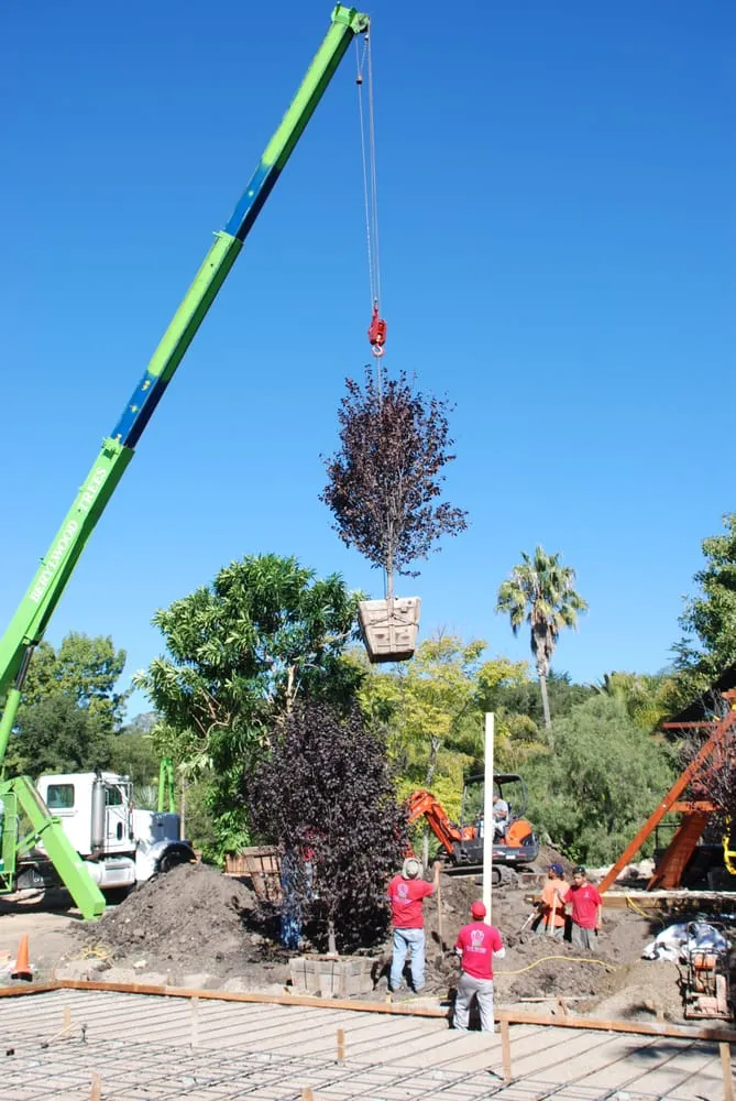 Trusted residential landscaping experts serving Santa Barbara, CA - Cold Springs Landscapes