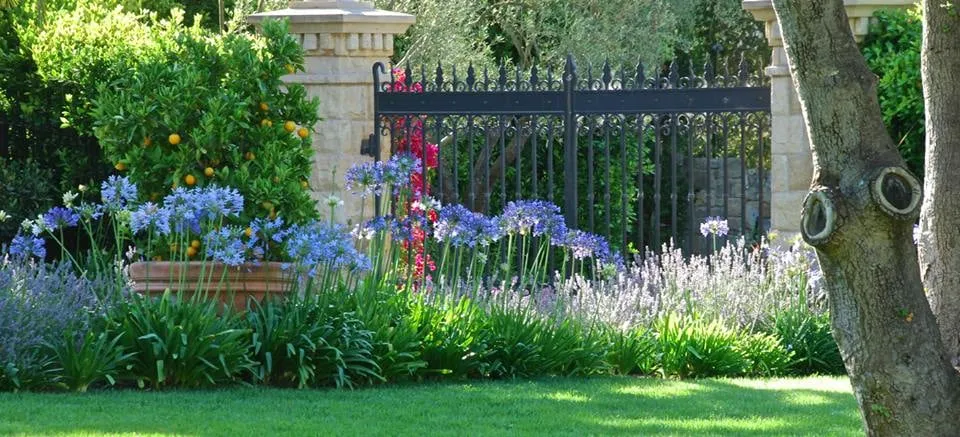 Custom landscape design in Santa Barbara, CA - Cold Springs Landscapes