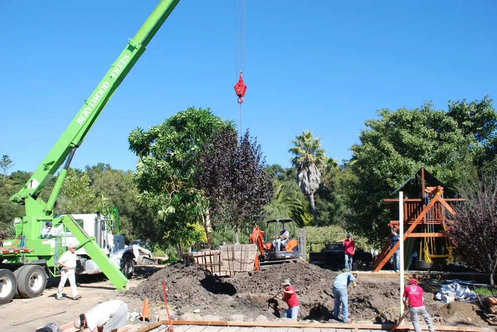 Professional landscape installation in Santa Barbara, CA - Cold Springs Landscapes