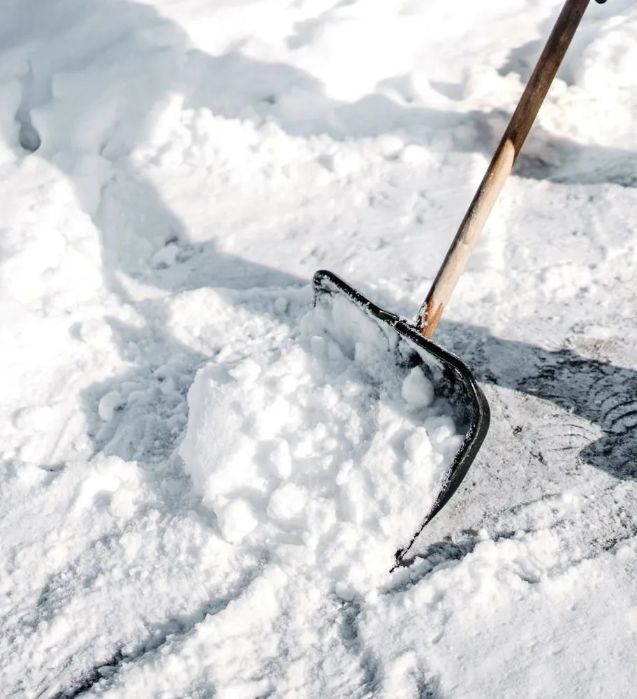 Local yard maintenance experts serving WI, WI - Cold Summer Landscaping
