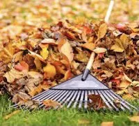 Local lawn mowing service in WI, WI - Cold Summer Landscaping