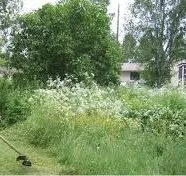 Affordable landscape installation near you in WI, WI by Cold Summer Landscaping