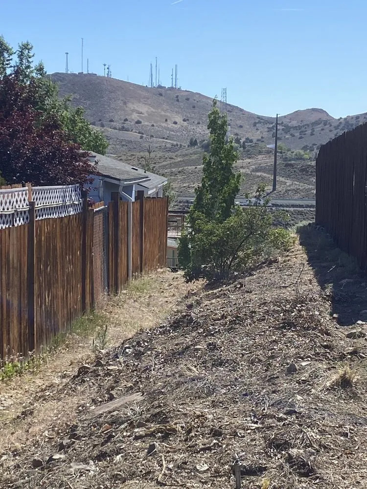 Trusted yard cleanup service in Reno, TX by Cold Valley Lawn Services