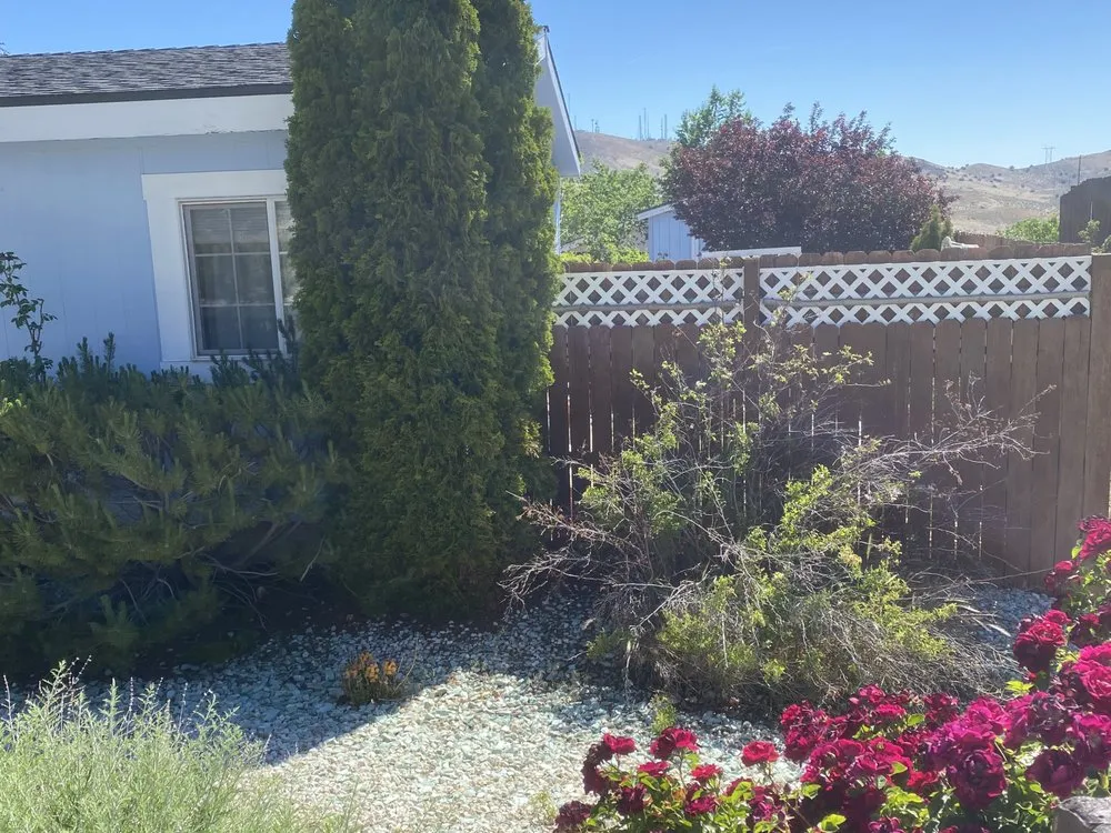 Trusted residential landscaping in Reno, TX - Cold Valley Lawn Services