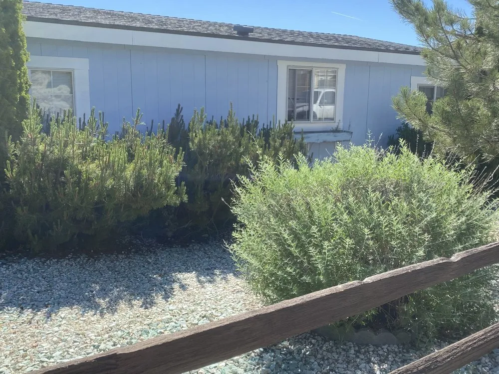 Professional outdoor landscaping experts serving Reno, TX - Cold Valley Lawn Services