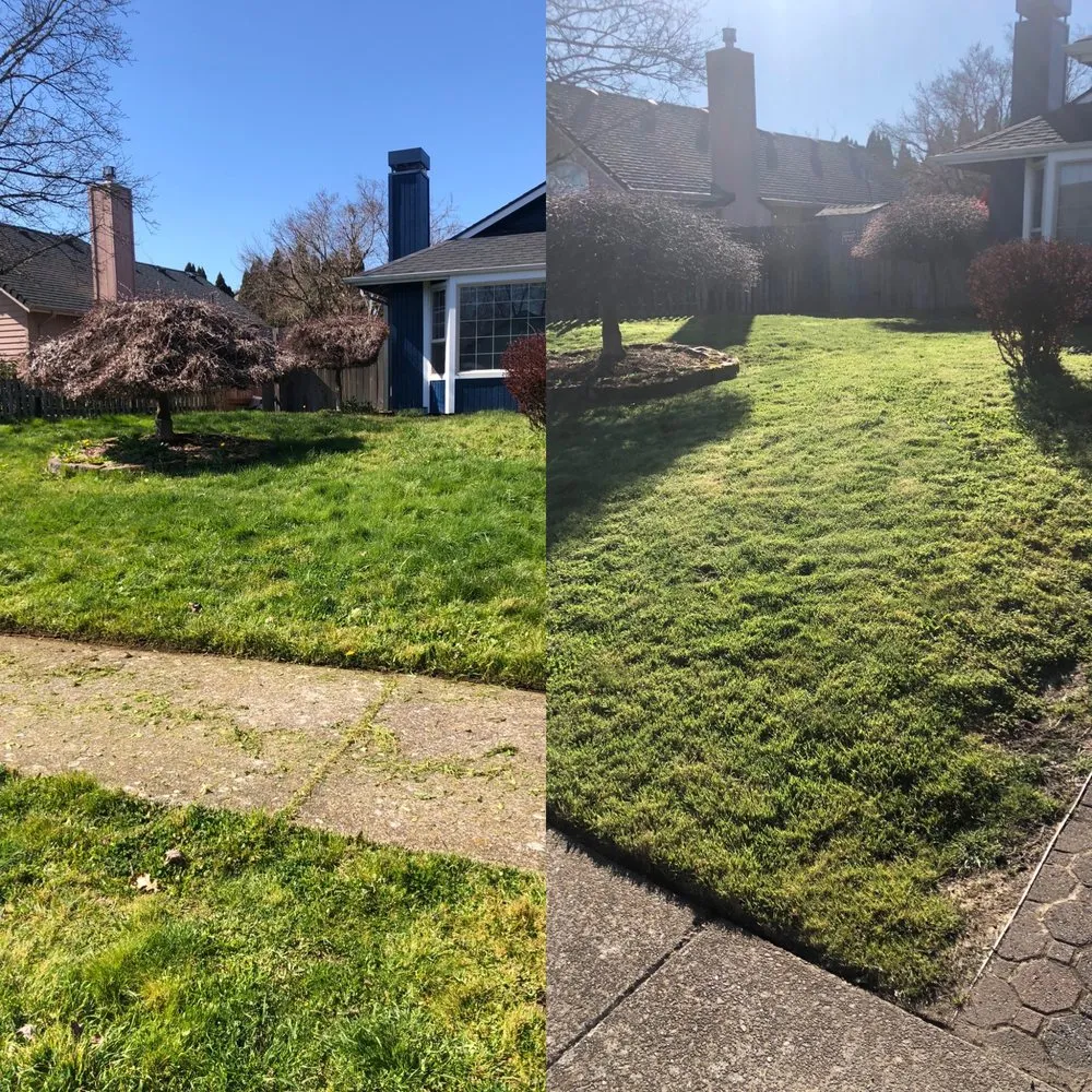 Expert lawn care service for homes in Springfield, OR by Cold Water Landscape Maintenance