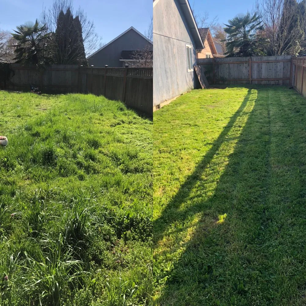 Top-rated garden landscaping for outdoor upgrades across Springfield, OR - Cold Water Landscape Maintenance