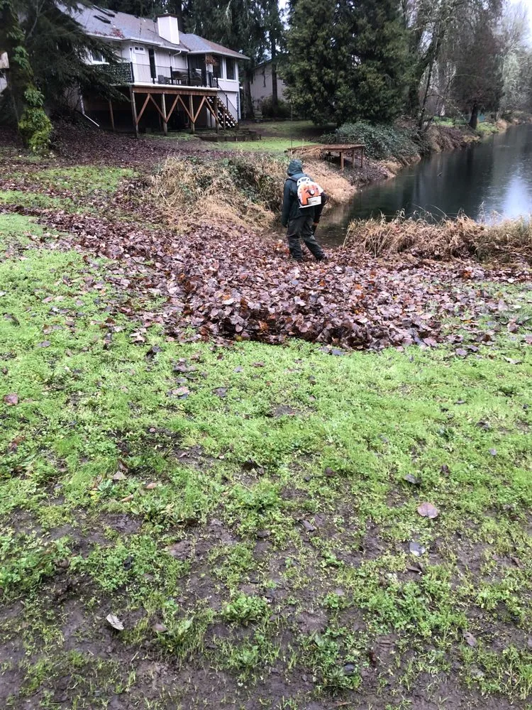 Top-rated lawn mowing service for residential properties across Springfield, OR - Cold Water Landscape Maintenance