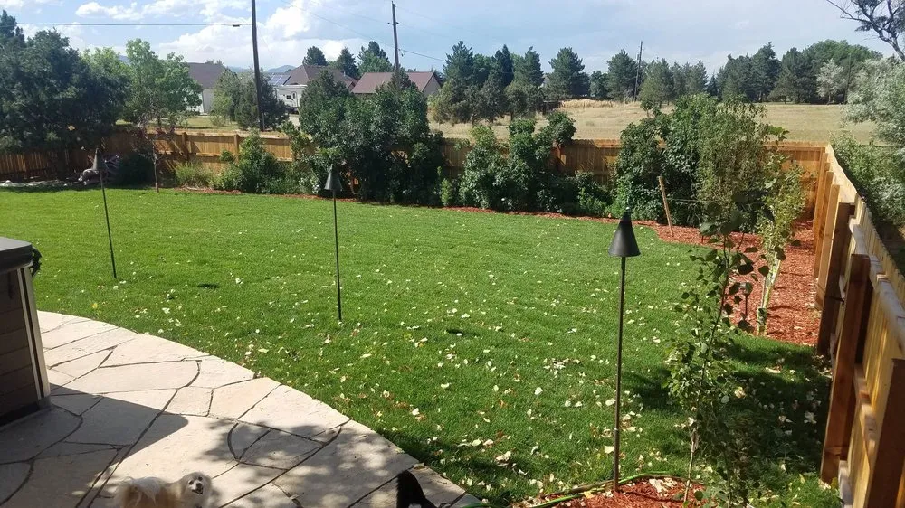 Expert landscape design experts serving Highlands Ranch, CO - Coldsnap Sprinklers