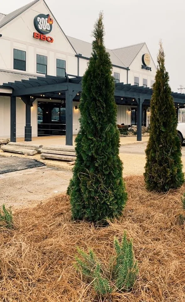 Reliable garden landscaping near you across Muscle Shoals, AL - Coldwater Landscapes