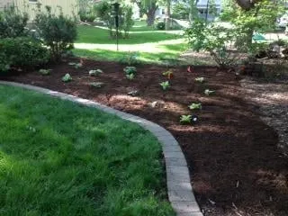 Custom yard cleanup service in Lisle, IL by Coldwell Landscaping Service