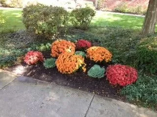 Expert yard maintenance experts serving Lisle, IL - Coldwell Landscaping Service