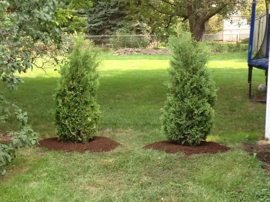 Coldwell Landscaping Service Logo