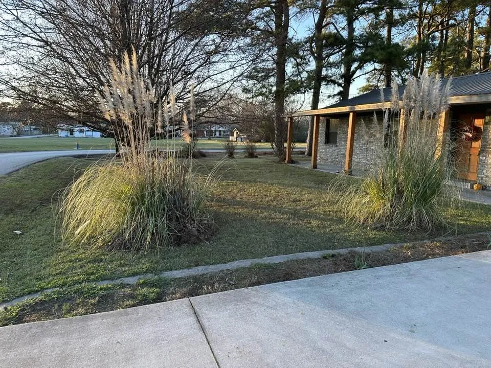 Reliable yard cleanup service near you in Little Rock, AR by Cole and Sons Cleaning