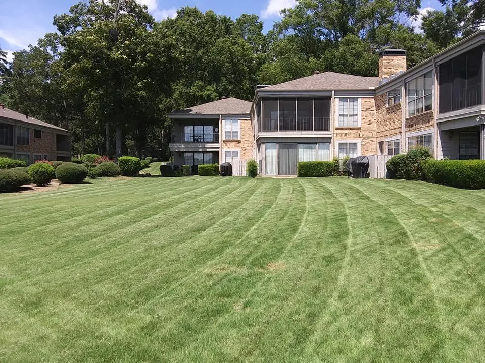 Affordable outdoor landscaping near you across Little Rock, AR - Cole and Sons Cleaning