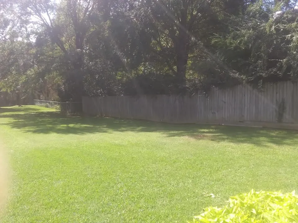 Trusted yard cleanup service for homes in Little Rock, AR by Cole and Sons Cleaning