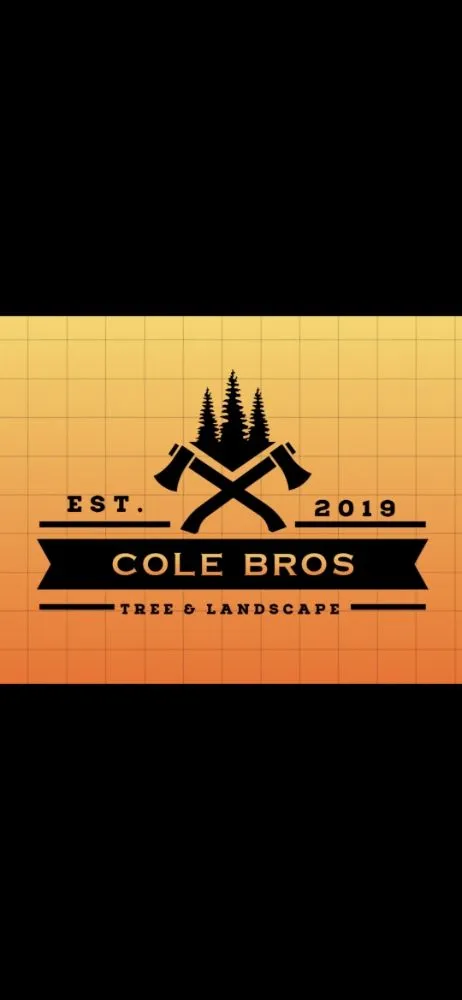 Affordable landscaping services for beautiful yards across Cambridge, MN - Cole Bros Tree and Landscape