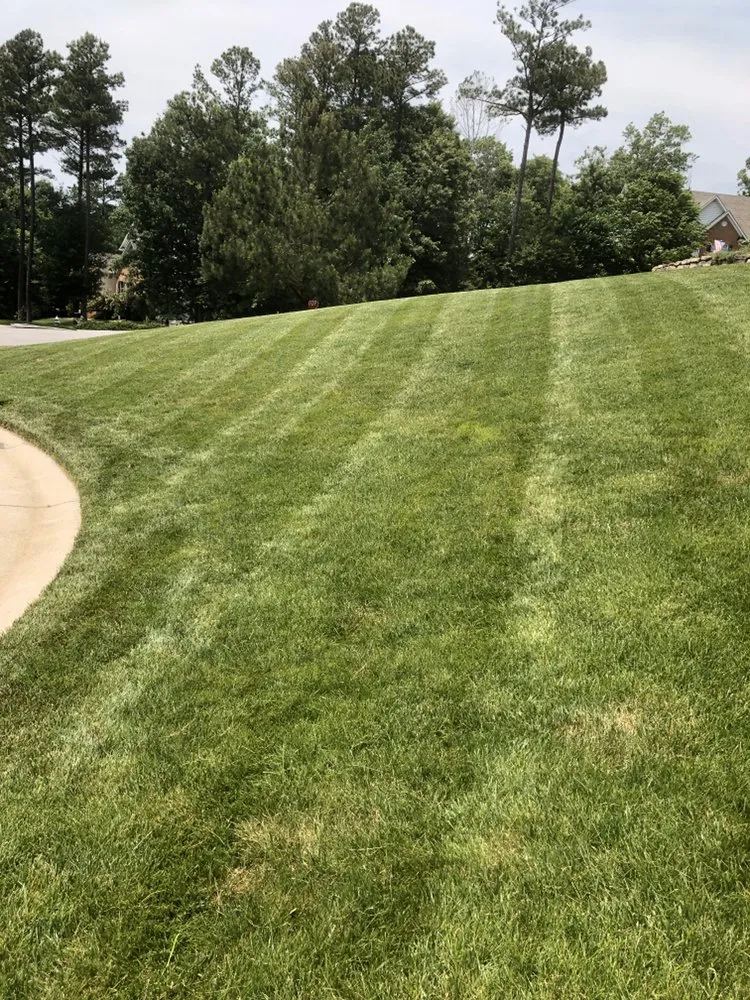 Professional yard maintenance in Richmond, VA by Cole Brothers Lawn Service