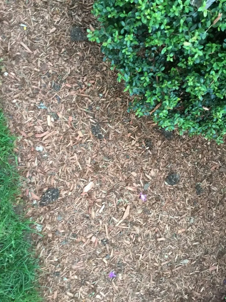 Expert lawn mowing service in Rowley, MA by Cole Landscaping